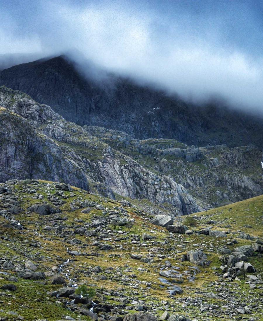 AI in 15 &mdash; Course project by Woxi Studio