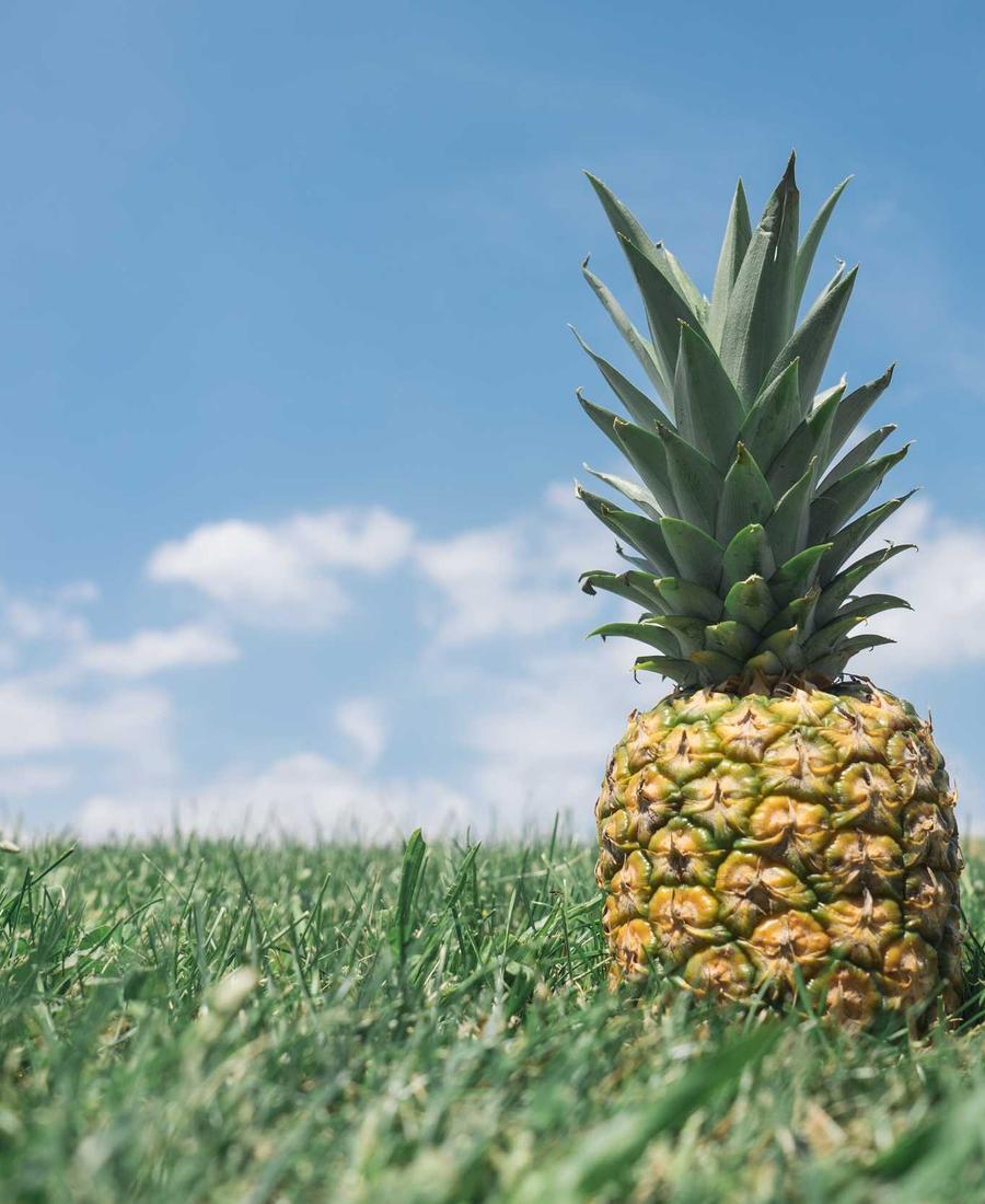 Jason PT &mdash; Coach project by Woxi Studio